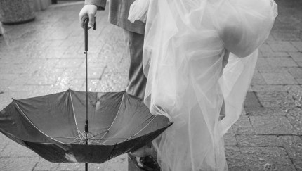 1526141_10152040653084300_720007551_n